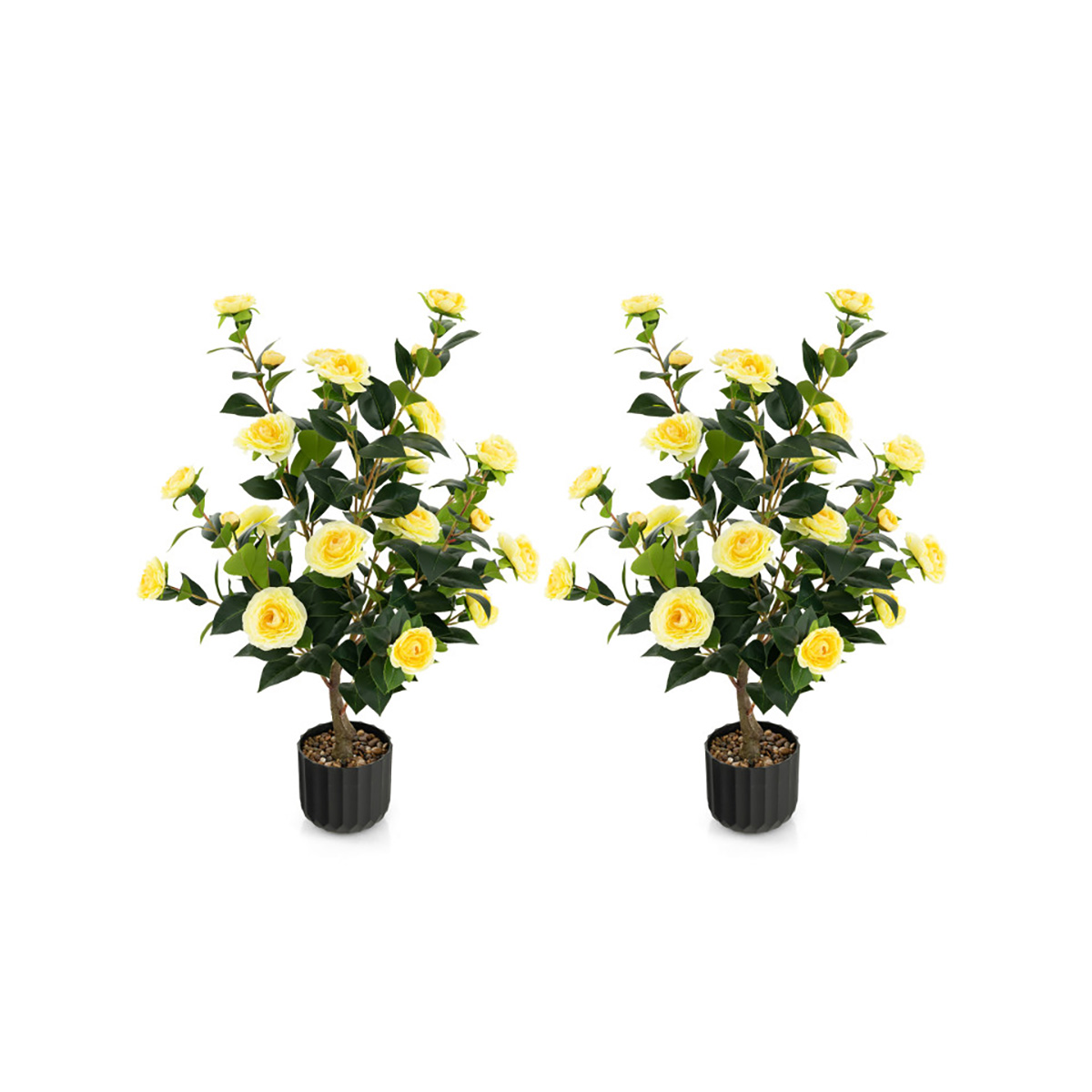 Sharper Image Camellia Flower Trees